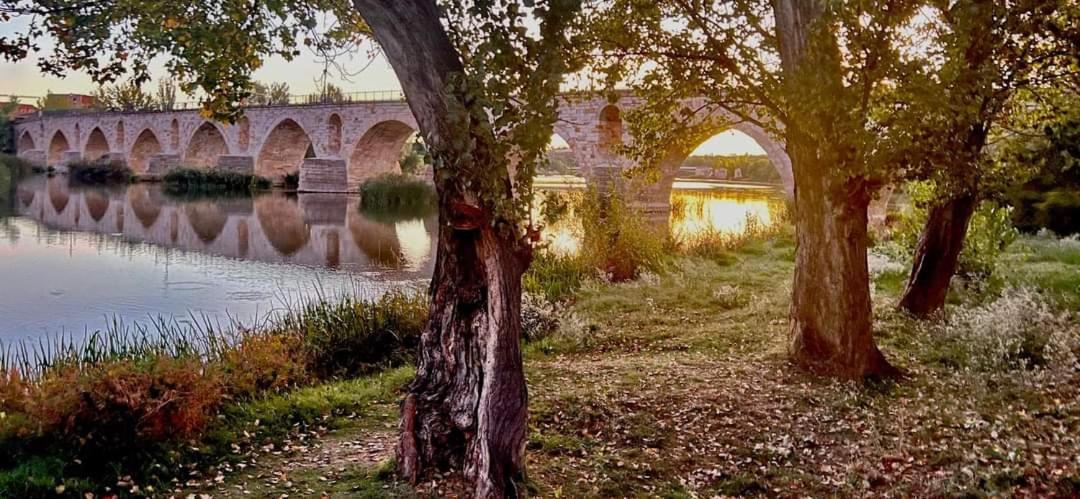 A Los Ojos Del Rio Duero Zamora Exterior photo