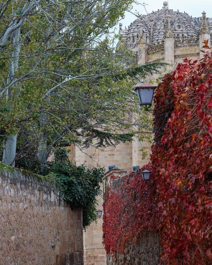 A Los Ojos Del Rio Duero Apartment Zamora Exterior photo